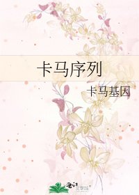 《卡馬序列》