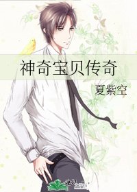 《神奇宝贝传奇》