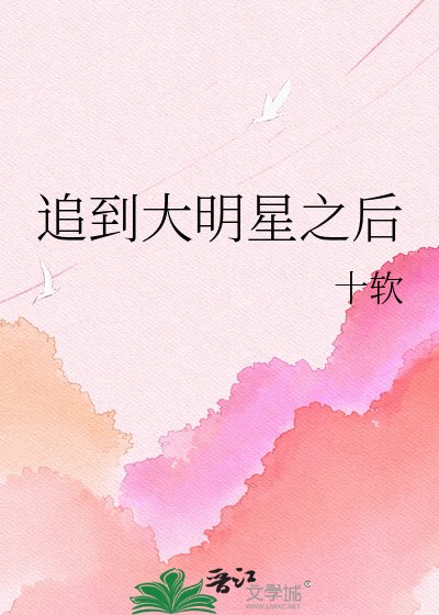 追到大明星之后