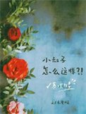 《寡嫂为妻》